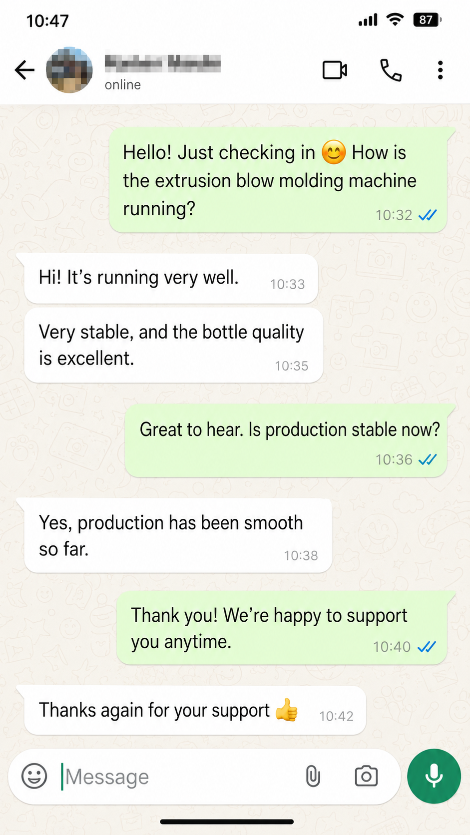 Customer chat screenshot for project support feedback