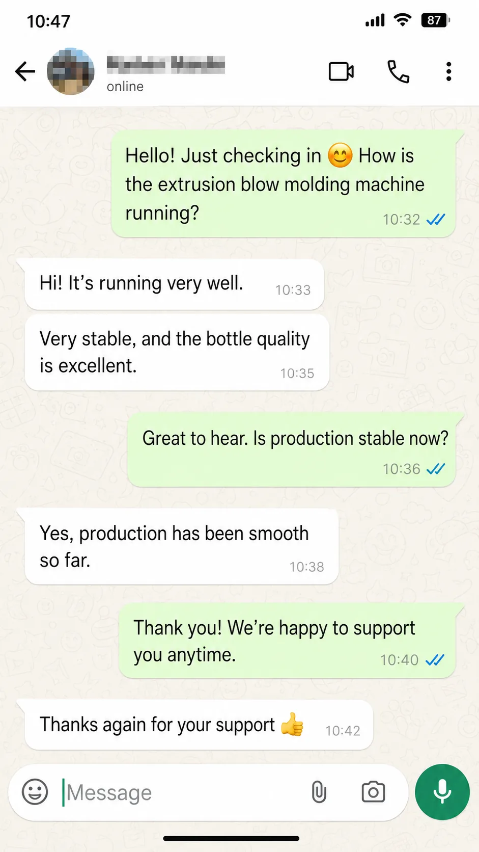 Captura de chat de cliente sobre soporte del proyecto