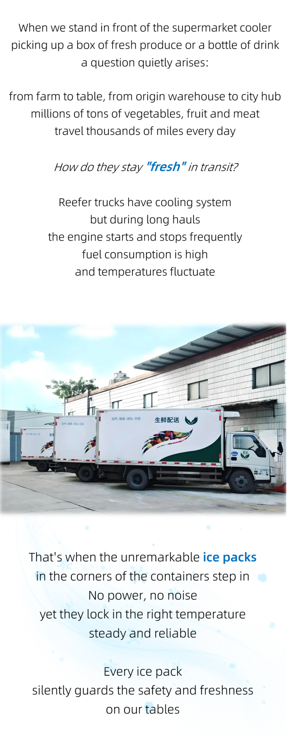 Tongda ice packs supporting cold-chain transport